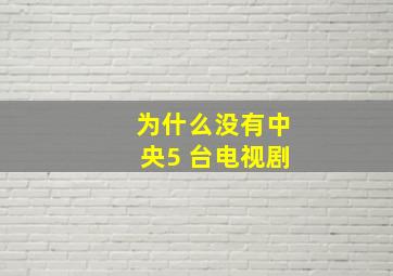 为什么没有中央5 台电视剧